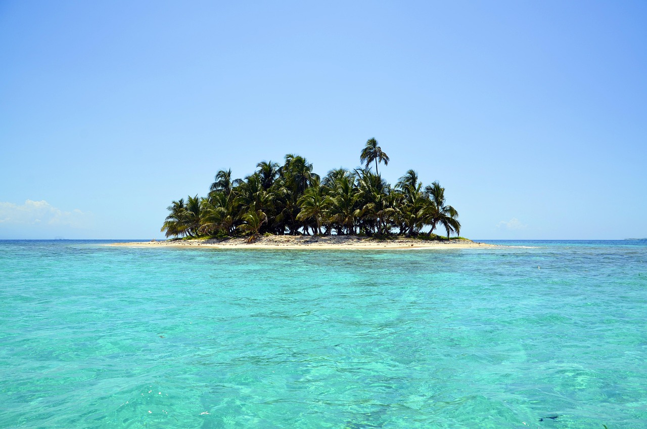 Guests snorkeling in clear waters